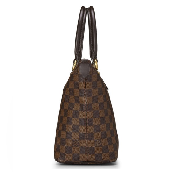 Louis Vuitton Saleya PM Damier Ebene Canvas Tote - Picture 2 of 13